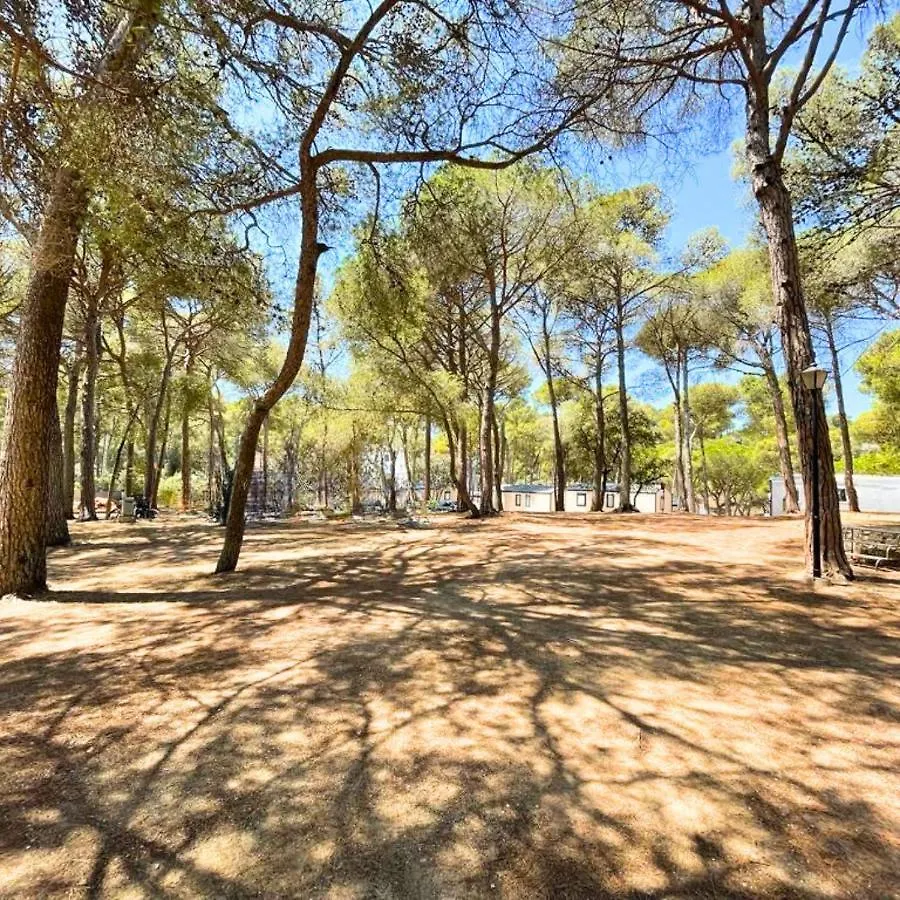 Interpals Eco Resort 4*, Pals España
