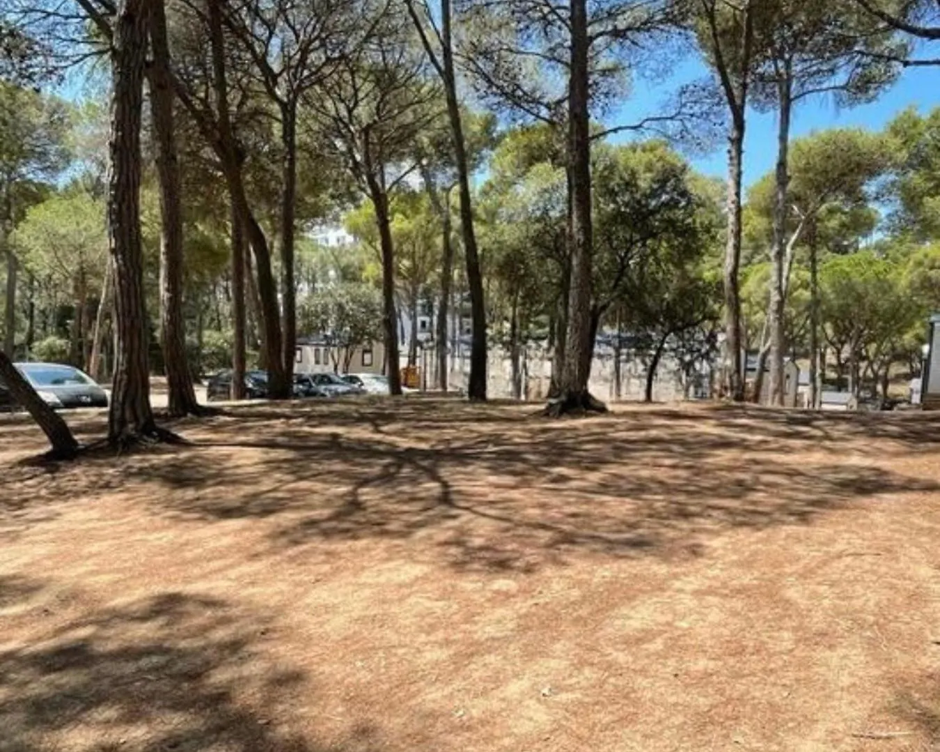 **** Campsite Interpals Eco Resort Spain
